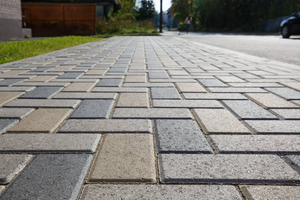 Best Driveway Paving Contractor  in Camden, AL